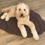 Calm Leaf Blanket | Dog and Cat Dual-Sided Soft Mat Machine Washable, 4 Colors