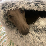 Cove Haven | Whippet Dog Bed Eco-Friendly Non-Slip Machine Washable