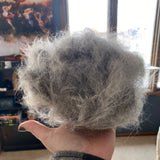 Combpaw | Dog and Cat Deshedder Dual Blade for Long Coats, Available in 3-Pack