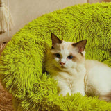 Nestfield | Cat Sofa Bed with Supportive Foam Vacuum-Packed, 4 Sizes