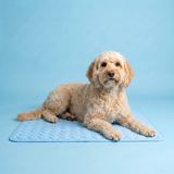 Treldon | Dog and Cat Cooling Mat Lightweight Breathable, S to L, 3 Colors