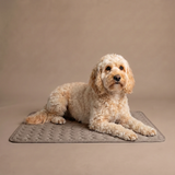 Treldon | Dog and Cat Cooling Mat Lightweight Breathable, S to L, 3 Colors