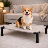 Clawven | Dog Elevated Cot Bed Breathable Mesh Chew-Proof, Multiple Colors