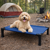 Clawven | Dog Elevated Cot Bed Breathable Mesh Chew-Proof, Multiple Colors
