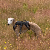 Muzzwick | Dog Escape-Proof Harness for Whippets and Greyhounds Reflective