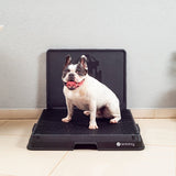 Glenwick | Indoor Dog Potty with Odor Control Easy Clean, 2 Sizes