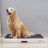 Glenwick | Indoor Dog Potty with Odor Control Easy Clean, 2 Sizes