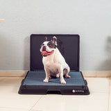 Glenwick | Indoor Dog Potty with Odor Control Easy Clean, 2 Sizes