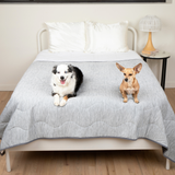Coathen | Dog Blanket Waterproof Cooling Fabric Available in 3 Sizes