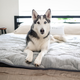 Coathen | Dog Blanket Waterproof Cooling Fabric Available in 3 Sizes