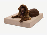 Pawmeadow | Dog Bed Orthopedic 7-Inch CertiPUR-US Foam Machine Washable