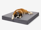 Pawtastic | Large Dog Bed Orthopedic 7-Inch Foam Support for Comfort 19