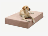 Pawtastic | Large Dog Bed Orthopedic 7-Inch Foam Support for Comfort 38