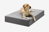 Pawtastic | Large Dog Bed Orthopedic 7-Inch Foam Support for Comfort 43