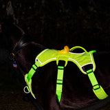 Veldune | Dog Escape-Proof Harness for Whippets and Greyhounds Reflective