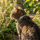 Waggie | Natural Cat Flea Collar Essential Oil Adjustable Waterproof