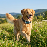Copperpaw | Dog Wireless GPS Fence with Customizable Boundaries, Rechargeable