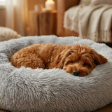 Brindmar | Dog Bed Soft Washable Cover for Small to Large Breeds, 6 Sizes