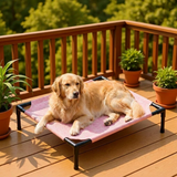 Clawven | Dog Elevated Cot Bed Breathable Mesh Chew-Proof, Multiple Colors