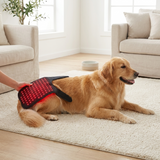 Bristow | Dog Red Light LED Device Rechargeable, Available in 3 Sizes