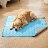 Pawden | Dog Cooling Mat Self-Cooling Available in 5 Sizes All Breeds