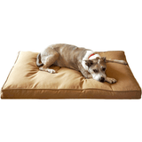 BullyTuf | Dog Bed Chew-Resistant Orthopedic Foam Heavy-Duty, Medium to XXL