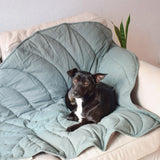 Calm Leaf Blanket | Dog and Cat Dual-Sided Soft Mat Machine Washable, 4 Colors