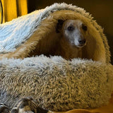 Cove Haven | Whippet Dog Bed Eco-Friendly Non-Slip Machine Washable