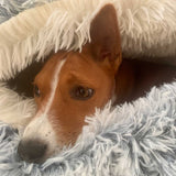 Cove Haven | Whippet Dog Bed Eco-Friendly Non-Slip Machine Washable