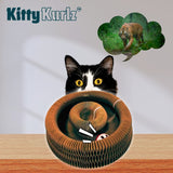 Shoreline | Cat Interactive Toy for Play and Mental Stimulation