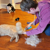 Combpaw | Dog and Cat Deshedder Dual Blade for Long Coats, Available in 3-Pack
