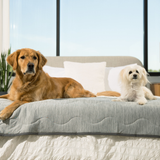 Saltpaw | Dog Runner Blanket Cooling Waterproof Machine Washable, 2 Sizes