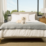 Saltpaw | Dog Runner Blanket Cooling Waterproof Machine Washable, 2 Sizes