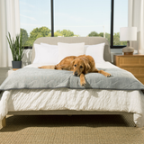 Saltpaw | Dog Runner Blanket Cooling Waterproof Machine Washable, 2 Sizes