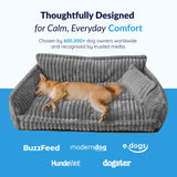 Maplpaw | Dog Orthopedic Sofa Bed with Washable Cover, S to XL