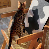 Driftail | Cat Vertical Scratching Post 90cm with Non-Slip Base