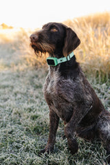 Copperpaw | Dog Wireless GPS Fence with Customizable Boundaries, Rechargeable