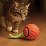 Wavepaw | Cat Interactive Toy with Automatic Play Mode for Exercise