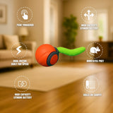 Wavepaw | Cat Interactive Toy with Automatic Play Mode for Exercise