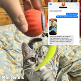 Wavepaw | Cat Interactive Toy with Automatic Play Mode for Exercise