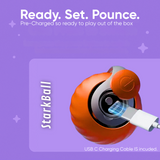 Wavepaw | Cat Interactive Toy with Automatic Play Mode for Exercise