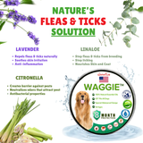 Glovepaw | Dog and Cat Flea and Tick Collar Natural Water-Resistant Adjustable
