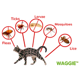 Glovepaw | Dog and Cat Flea and Tick Collar Natural Water-Resistant Adjustable