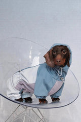 Sandpaw | Dog Jumpsuit Fleece-Lined Water-Resistant 4-Leg, Multiple Sizes