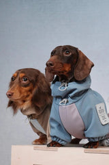 Sandpaw | Dog Jumpsuit Fleece-Lined Water-Resistant 4-Leg, Multiple Sizes