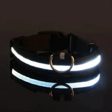 Lumina | Dog LED Collar Flashing Adjustable Weather-Resistant, 6 Colors