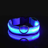 Lumina | Dog LED Collar Flashing Adjustable Weather-Resistant, 6 Colors