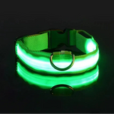 Lumina | Dog LED Collar Flashing Adjustable Weather-Resistant, 6 Colors
