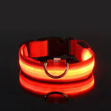 Lumina | Dog LED Collar Flashing Adjustable Weather-Resistant, 6 Colors