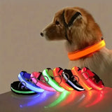 Lumina | Dog LED Collar Flashing Adjustable Weather-Resistant, 6 Colors
